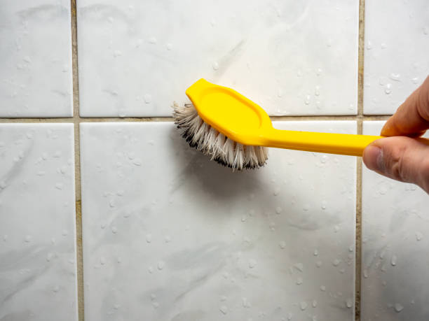 Best Mold Testing  in Fairfield, AL