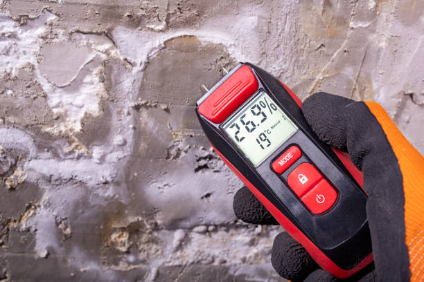 Best Certified Mold Removal  in Fairfield, AL