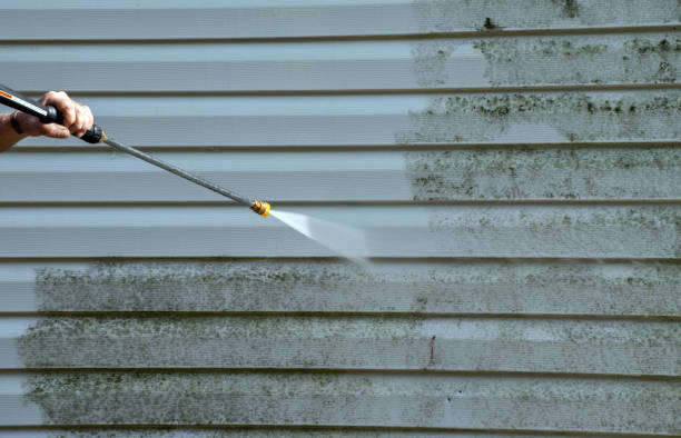 Best Residential Mold Removal  in Fairfield, AL
