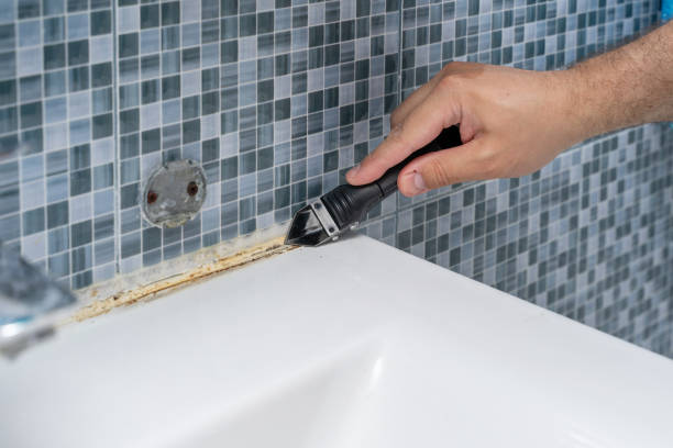 Best Mold Damage Repair  in Fairfield, AL